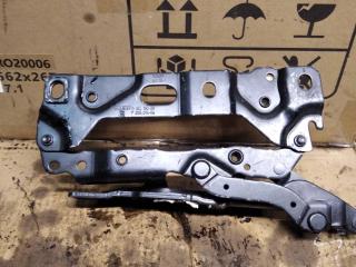 петля капота правая BMW 7 серия F01/F02 2010, 4.4 л., бензин, АКПП, седан, 7184190, 7200014
