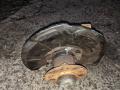 кулак поворотный правый Mercedes-Benz E-Класс W212/S212/C207/A207 2010, 2.2 л., дизель, АКПП, седан, задний привод, правый руль - фото №3