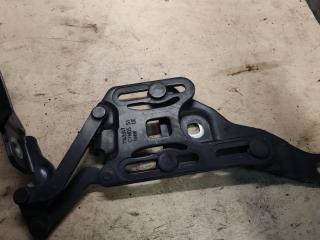 петля капота левая BMW X5 E70 2007, 3.0 л., M57 306 D3, дизель, АКПП, 7148347