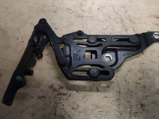 петля капота правая BMW X5 E70 2007, 3.0 л., M57 306 D3, дизель, АКПП, 7148348