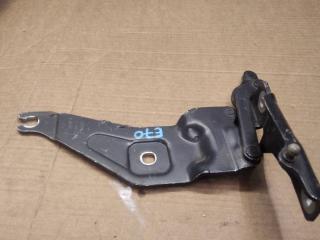 петля капота левая BMW X5 E70 2007, 3.0 л., M57 D30 (306D3), дизель, АКПП, внедорожник 5 дв., 7208627