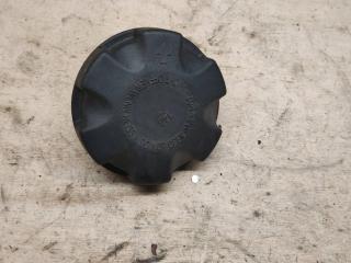 пробка расширительного бачка BMW X5 E70 2007, 3.0 л., M57 306 D3, дизель, АКПП
