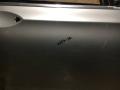 дверь передняя правая BMW 7 серия F01/F02 2009, 4.4 л., N63 B44 A, бензин, АКПП, седан - фото №3