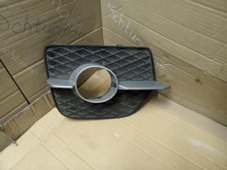 заглушка (решетка) в бампер BMW X6 E71/E72 2007