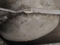 ресивер пневмоподвески Mercedes-Benz M-Класс W164 2007, 3.0 л., OM 642.940, дизель, 1643200015 - фото №3