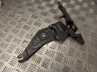 петля капота правая BMW X5 E70 2009, 3.0 л., M57 D30 (306D3), дизель, АКПП, внедорожник 5 дв., 7208628