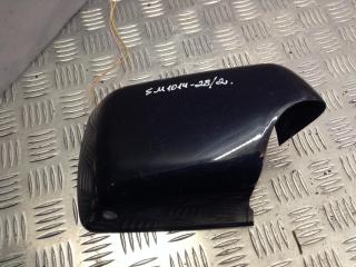 накладка на зеркало BMW X5 E53 2003, 4.4 л., M62 B44 (448S2), бензин, АКПП, внедорожник 5 дв.