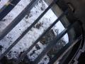 заглушка (решетка) в бампер BMW 5 серия E60/E61 [рестайлинг] 2008, 2.0 л., N47 D20 A, дизель, АКПП, универсал - фото №2