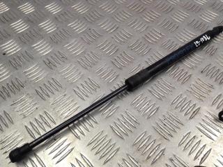 амортизатор капота BMW 3 серия E90/E91/E92/E93 2007, 2.0 л., M47 D20 (204D4), дизель, АКПП, седан