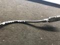 датчик ABS Mercedes-Benz E-Класс W211/S211 2004, 3.2 л., OM 648.961, дизель, АКПП, универсал, A2115402317, 2115402317 - фото №2