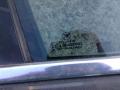 стекло двери передней правой BMW 7 серия E38 [рестайлинг] 2001, 4.4 л., M62 B44 (448S2), бензин, АКПП, серый, седан - фото №2