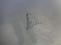 капот Audi TT 8N (1998 - 2003), серебро, 8N0823029A - фото №2