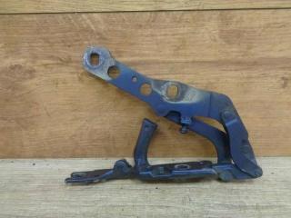 петля капота BMW X3 E83 2004, синий, 41613452844