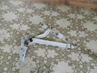 петля крышки багажника Ford Focus 2 поколение (2004 - 2008), седан