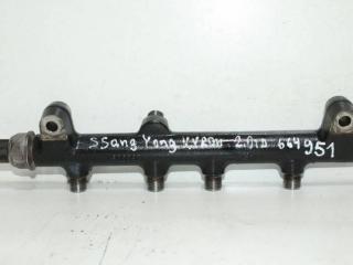 топливная рампа SsangYong Kyron 1 поколение (2005 - 2007), 2.0 л., D20DT, дизель, 6640700295
