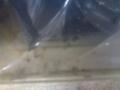 фара SEAT Ibiza 3 поколение 2006, 6L1941751B - фото №4