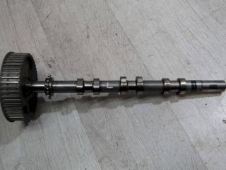 распредвал Land Rover Discovery 3 поколение (2004 - 2009), 3.0 л., дизель, 4R8Q6A273AC