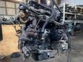двигатель IVECO Daily 4 поколение (2006 - 2011), 2.3 л., F1AE0481G, дизель, микроавтобус, F1AE0481G, F1AE0481G - фото №13