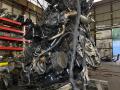 двигатель Ford Transit 7 поколение L3H3 (2006 - 2013), 2.2 л., P8FA, дизель, МКПП, микроавтобус, передний привод, P8FA, PBFA, P8FA - фото №9