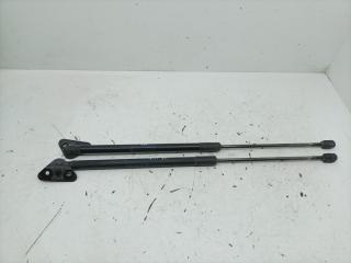 амортизатор крышки багажника (3-5 двери) BMW X1 E84 2010, 2.0 л., N47 D20 C, дизель, АКПП, внедорожник 5 дв., полный привод