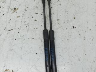 амортизатор капота BMW X1 E84 2010, 2.0 л., N47 D20 C, дизель, АКПП, внедорожник 5 дв., полный привод, 2990344