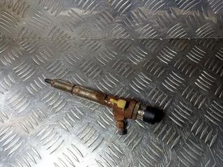 форсунка Renault Modus 2 поколение 2008, 8200842205