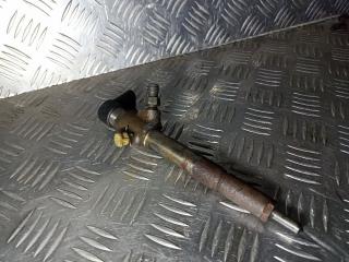 форсунка Nissan Qashqai 1 поколение 2010, 166009445