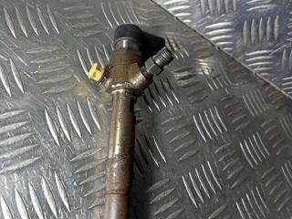 форсунка Nissan Qashqai 1 поколение 2010, 166009445