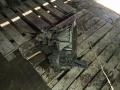 КПП механическая (МКПП) Ford Mondeo 2 поколение 2000, 1.8 л., дизель, 97ZT7F096DA, XS4R7201DB, 97ZT7211BB - фото №2