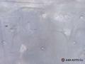 капот Mercedes-Benz S-Класс W220 2002, 3.2 л., дизель, АКПП, седан - фото №16