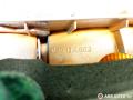 фонарь задний левый Ford Escort 5 поколение 1992, хетчбэк 5 дв., 91AG13A603, 91AG13N004BA - фото №6