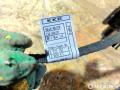 дверная проводка BMW 7 серия E65/E66/E67 2004, 4.4 л., бензин, АКПП, седан, 6913143, 6913145, 6913152, 6913155 - фото №3