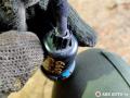 дверная проводка BMW 7 серия E65/E66/E67 2004, 4.4 л., бензин, АКПП, седан, 6913145, 6913152, 6913147, 6913141, 8377308, 8379697 - фото №12