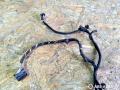 дверная проводка BMW 7 серия E65/E66/E67 2004, 4.4 л., бензин, АКПП, седан, 6913145, 6913152, 6913144, 6913164 - фото №6