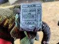 дверная проводка BMW 7 серия E65/E66/E67 2004, 4.4 л., бензин, АКПП, седан, 6913145, 6913152, 6913144, 6913164 - фото №7