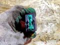 кнопка обогрева сидений Skoda Superb 2 поколение 2008, 3U0963563, VAG3U0963563 - фото №3
