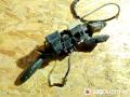 переключатель подрулевой (стрекоза) Renault Laguna 1 поколение 1997, 7700832543, 54034303D, 36717B, 36721B - фото №8