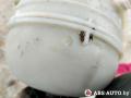 бачок расширительный Peugeot 206 1 поколение [рестайлинг] 2004, 1.1 л., бензин, 9626378480 - фото №4