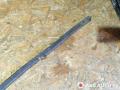 уплотнитель подкапотного пространства Peugeot 607 1 поколение [рестайлинг] 2005, 2.2 л., МКПП, седан, M857300, K1231312, CE16023760 - фото №8