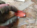 проводка Renault Scenic 1 поколение [рестайлинг] 2002, 1.9 л., дизель, МКПП, минивэн, 7700287077 - фото №5