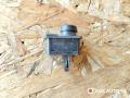 кнопка обогрева заднего стекла Ford Fiesta 3 поколение 1996, 89FG180621BB - фото №5