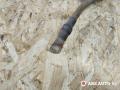 плюсовой провод аккумулятора BMW X5 E53 [рестайлинг] 2005, 3.0 л., дизель, АКПП, внедорожник 5 дв., 10299011, 691997601, 7525696, 752569601 - фото №2