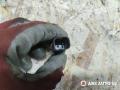 датчик температуры охлаждающей жидкости Renault Laguna 2 поколение [рестайлинг] 2005, 1.8 л., бензин, МКПП, универсал, 40211402, 7700113867, 226306024R, 6001543610, 7700101968, 7700103348, 8200561449, 9109811, 91159949, 93198313, 2263000Q1C, 2263000Q3B, 2263000QAB, 4401811, 4408333, 4434334, 4502758, 95519566 - фото №2