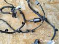 дверная проводка BMW 7 серия E65/E66/E67 2004, 3.6 л., бензин, АКПП, седан, 6913145, 6913152, 6913144, 6913164 - фото №5