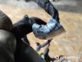 дверная проводка BMW 7 серия E65/E66/E67 2004, 3.6 л., бензин, АКПП, седан, 6913145, 6913152, 6913144, 6913164 - фото №8