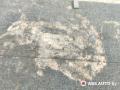 пол багажника Toyota RAV4 3 поколение (XA30) [рестайлинг] 2010, 2.2 л., 2AD-FTV, дизель, МКПП, внедорожник 5 дв., 5841042030 - фото №2