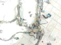 проводка двигателя BMW 7 серия E65/E66/E67 2004, 3.6 л., бензин, АКПП, седан, 61136908420, 66405910 - фото №7