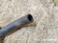 патрубок радиатора Renault Kangoo 1 поколение 2003, 1.5 л., дизель, МКПП - фото №4