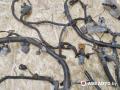 проводка двигателя Nissan Almera N16 2002, 1.5 л., бензин, МКПП, седан - фото №6