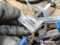 проводка двигателя Renault Megane 1 поколение [рестайлинг] 2002, МКПП, 8200124687, 7703397911, 8200185762, 8200187787, 8200230230 - фото №15